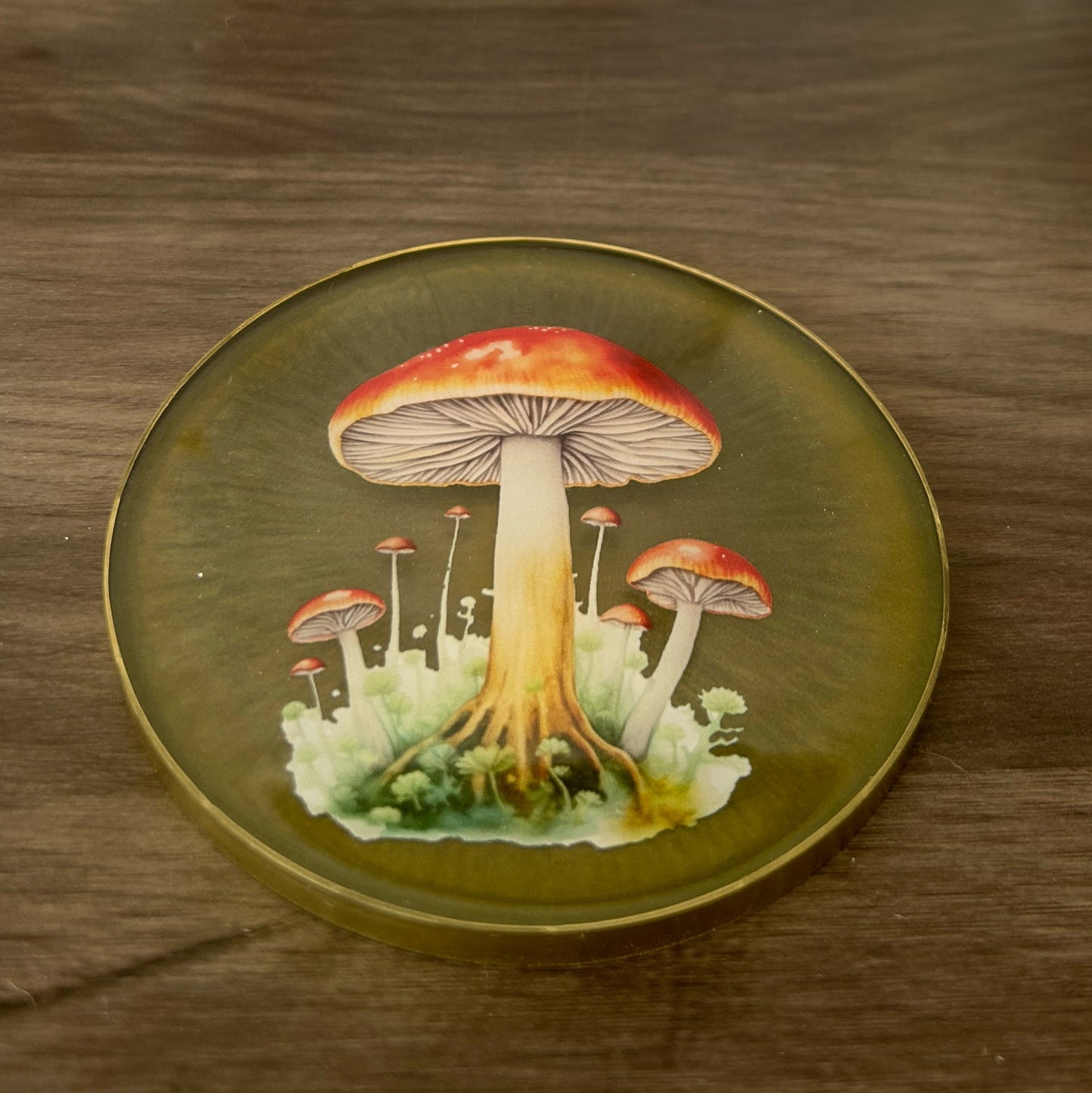 Mushroom Coaster