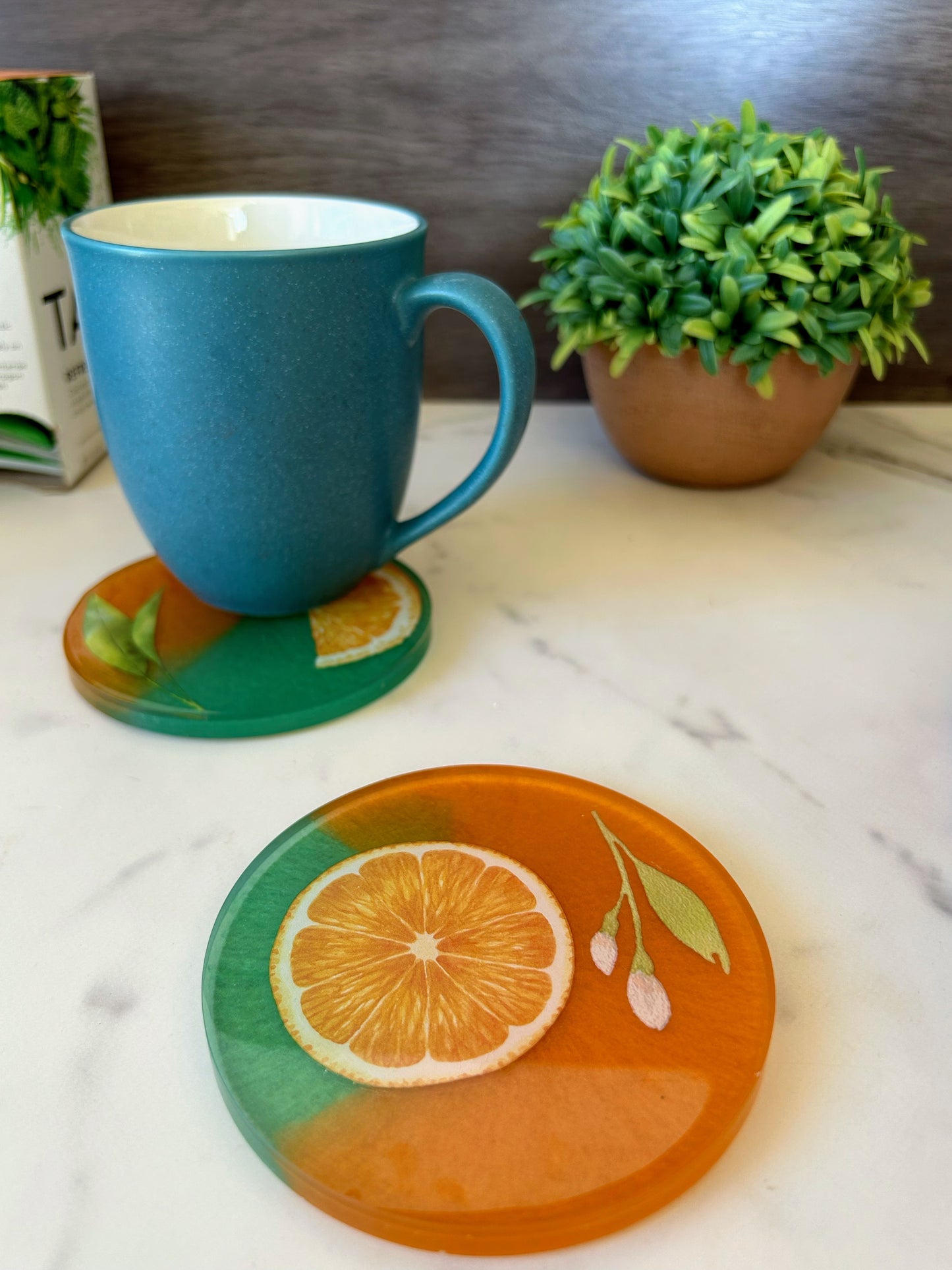 Orange Coaster (Set of 2)