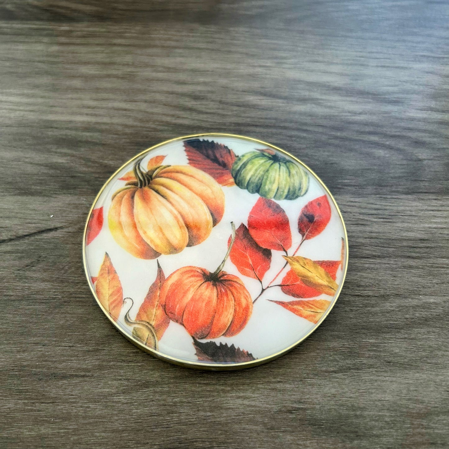 Pumpkin and Leaves Coasters