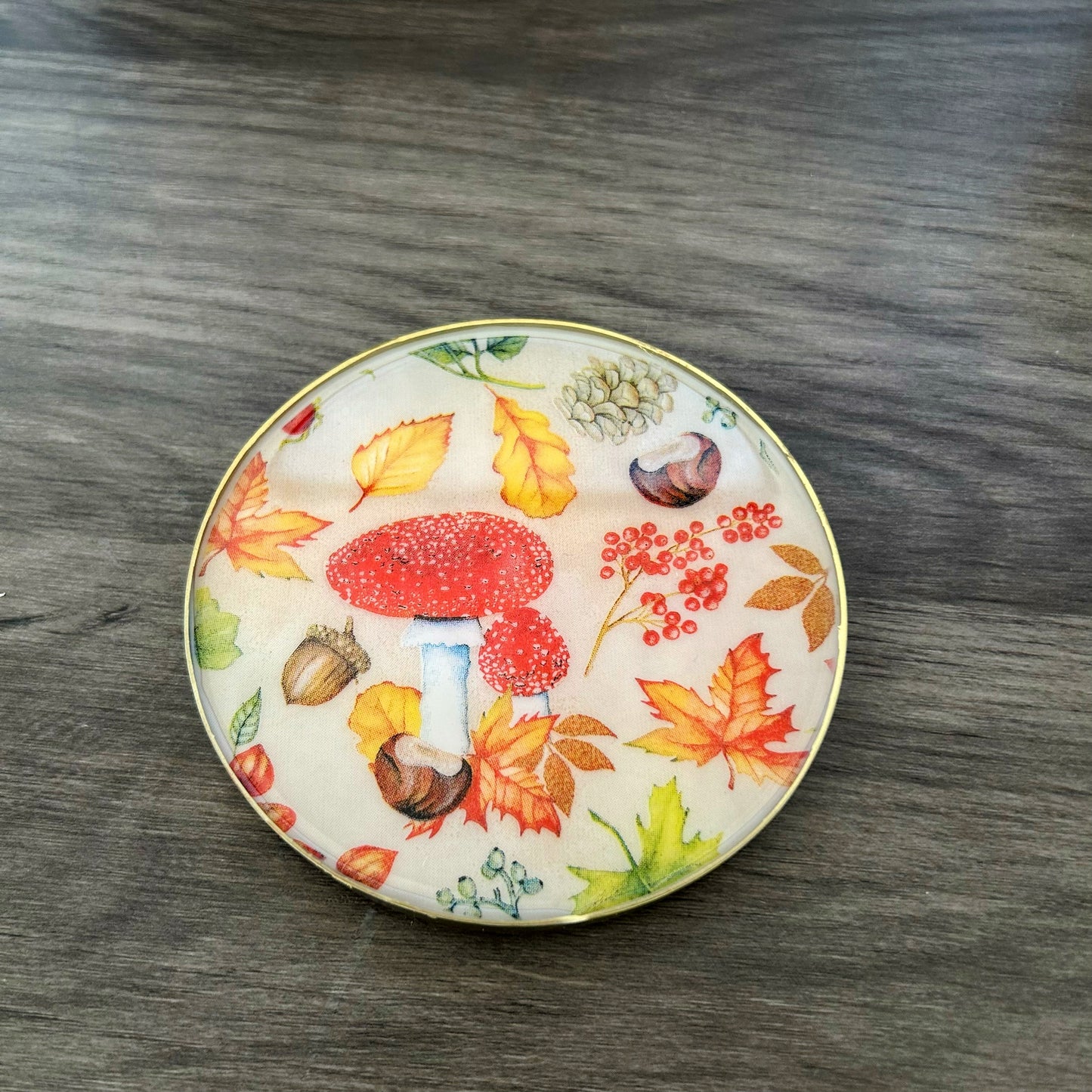 Fall Forage Coasters