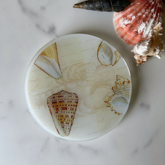 Sea Shell Coaster